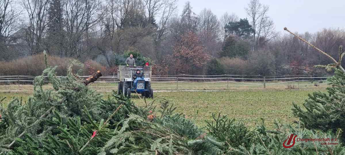 Weihnachtsbaumverbrennung