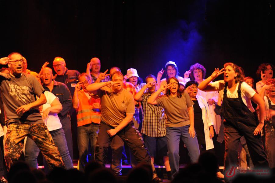 Musical - Meinn lieber Herr Gesangverein