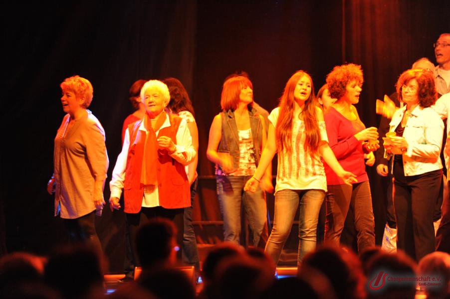 Musical - Meinn lieber Herr Gesangverein