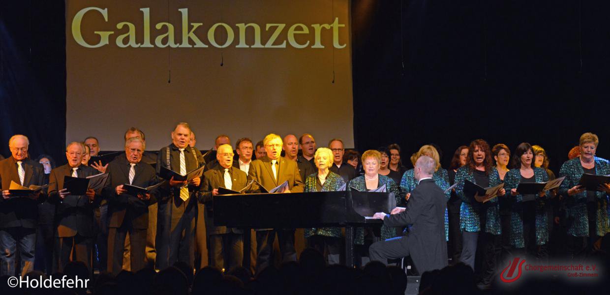 Musical - Meinn lieber Herr Gesangverein