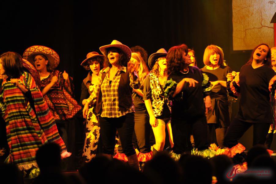 Musical - Meinn lieber Herr Gesangverein