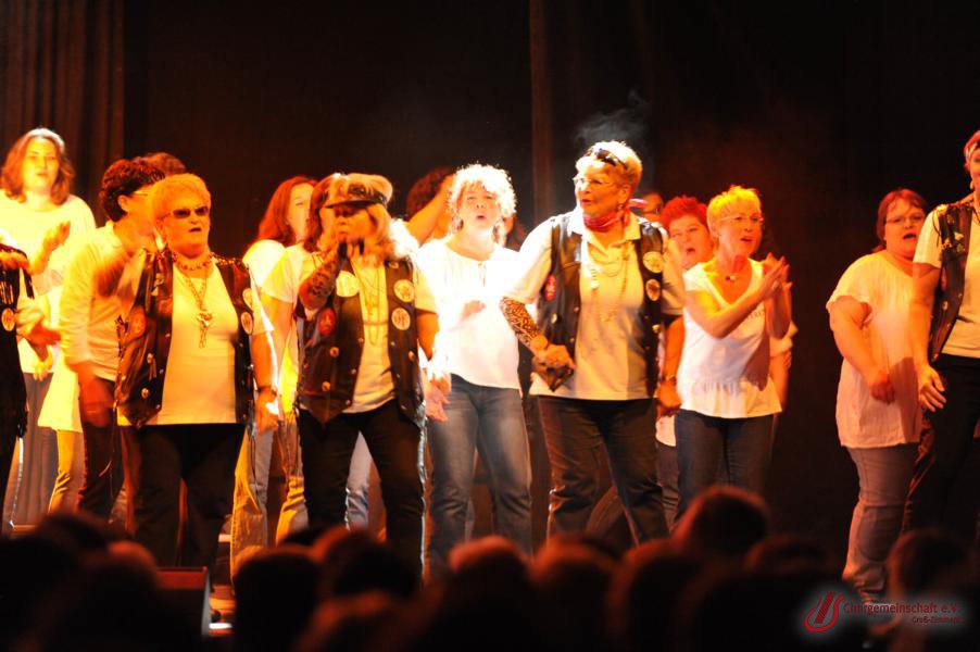 Musical - Meinn lieber Herr Gesangverein