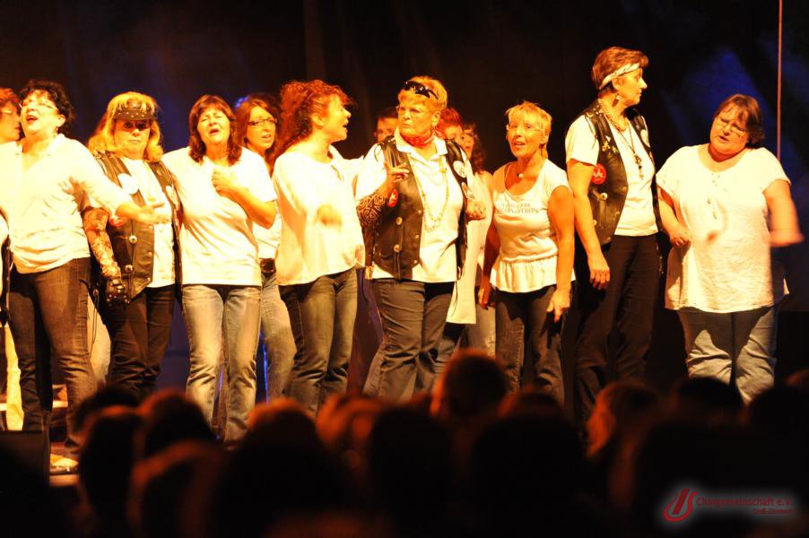 Musical - Meinn lieber Herr Gesangverein