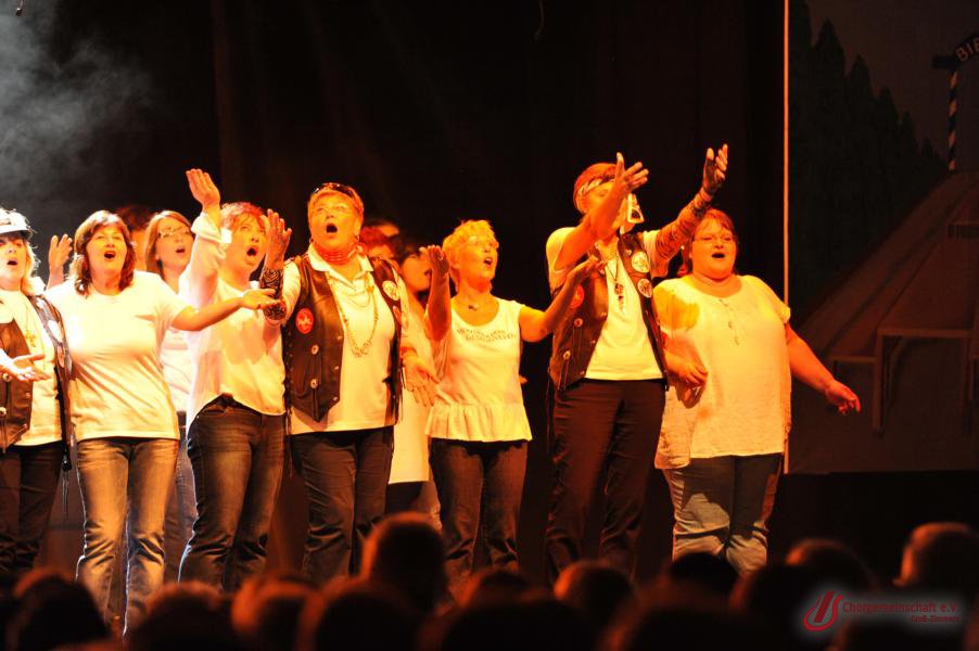 Musical - Meinn lieber Herr Gesangverein