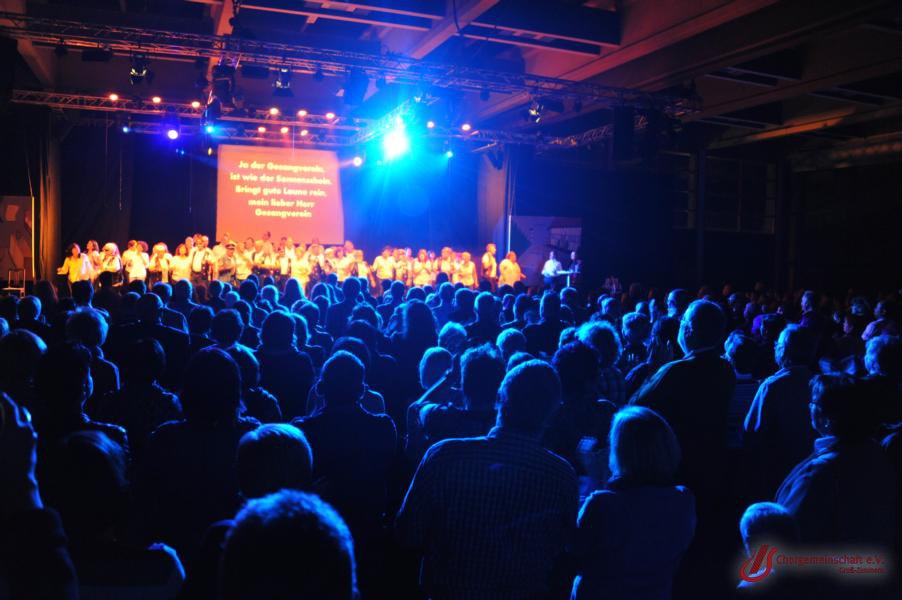 Musical - Meinn lieber Herr Gesangverein