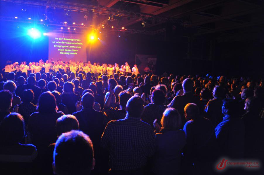 Musical - Meinn lieber Herr Gesangverein