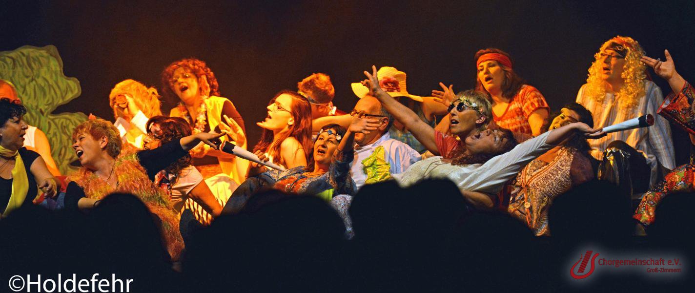 Musical - Meinn lieber Herr Gesangverein