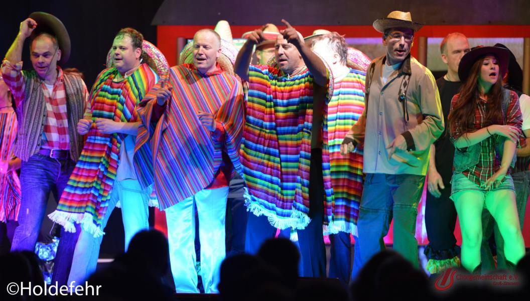 Musical - Meinn lieber Herr Gesangverein