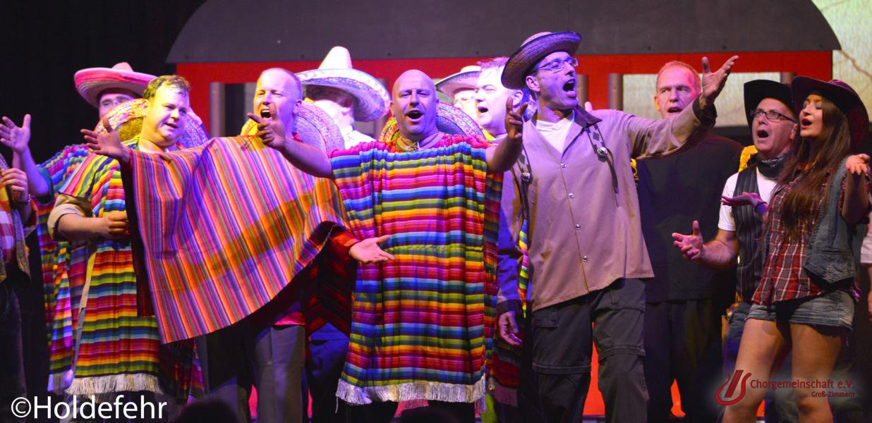 Musical - Meinn lieber Herr Gesangverein