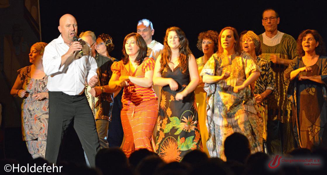 Musical - Meinn lieber Herr Gesangverein