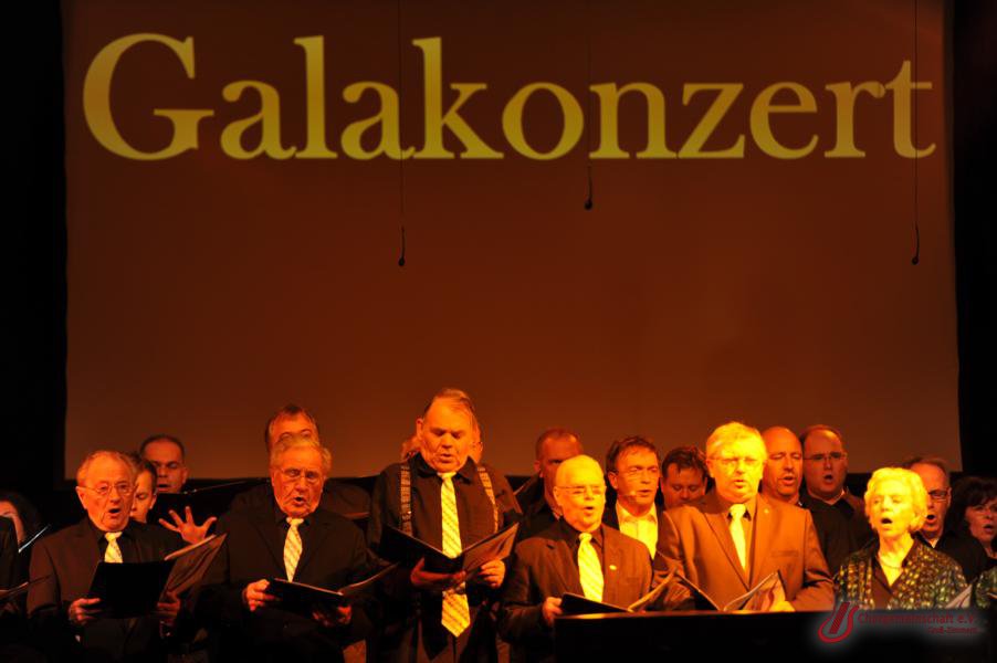 Musical - Meinn lieber Herr Gesangverein