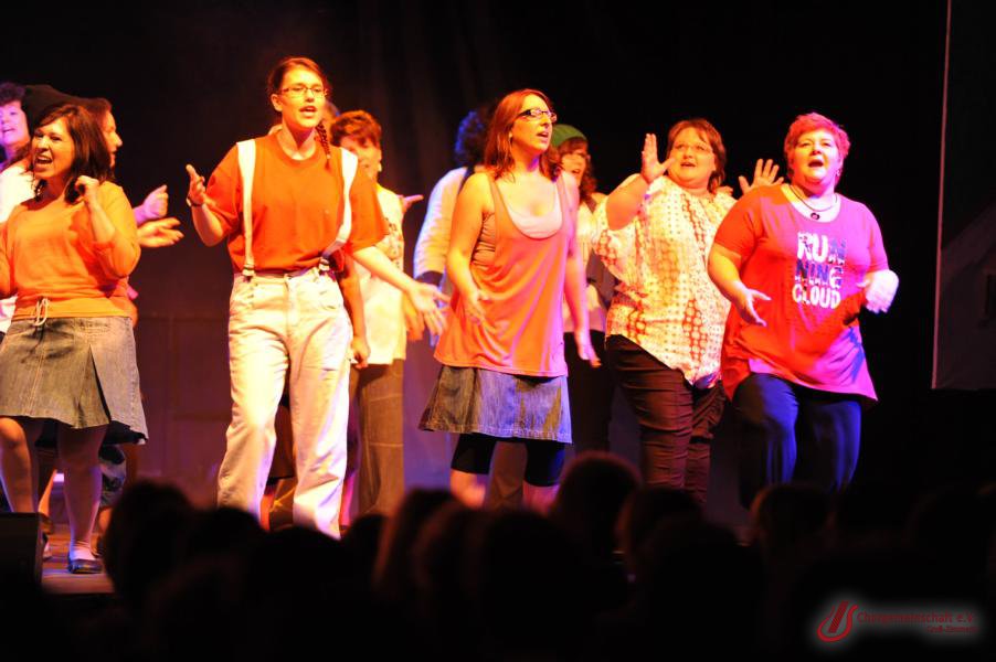 Musical - Meinn lieber Herr Gesangverein