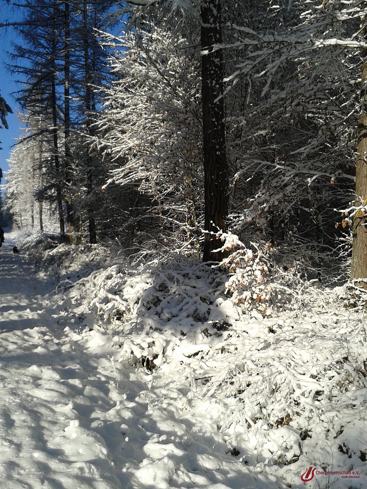 Wanderung zwischen den Jahren
