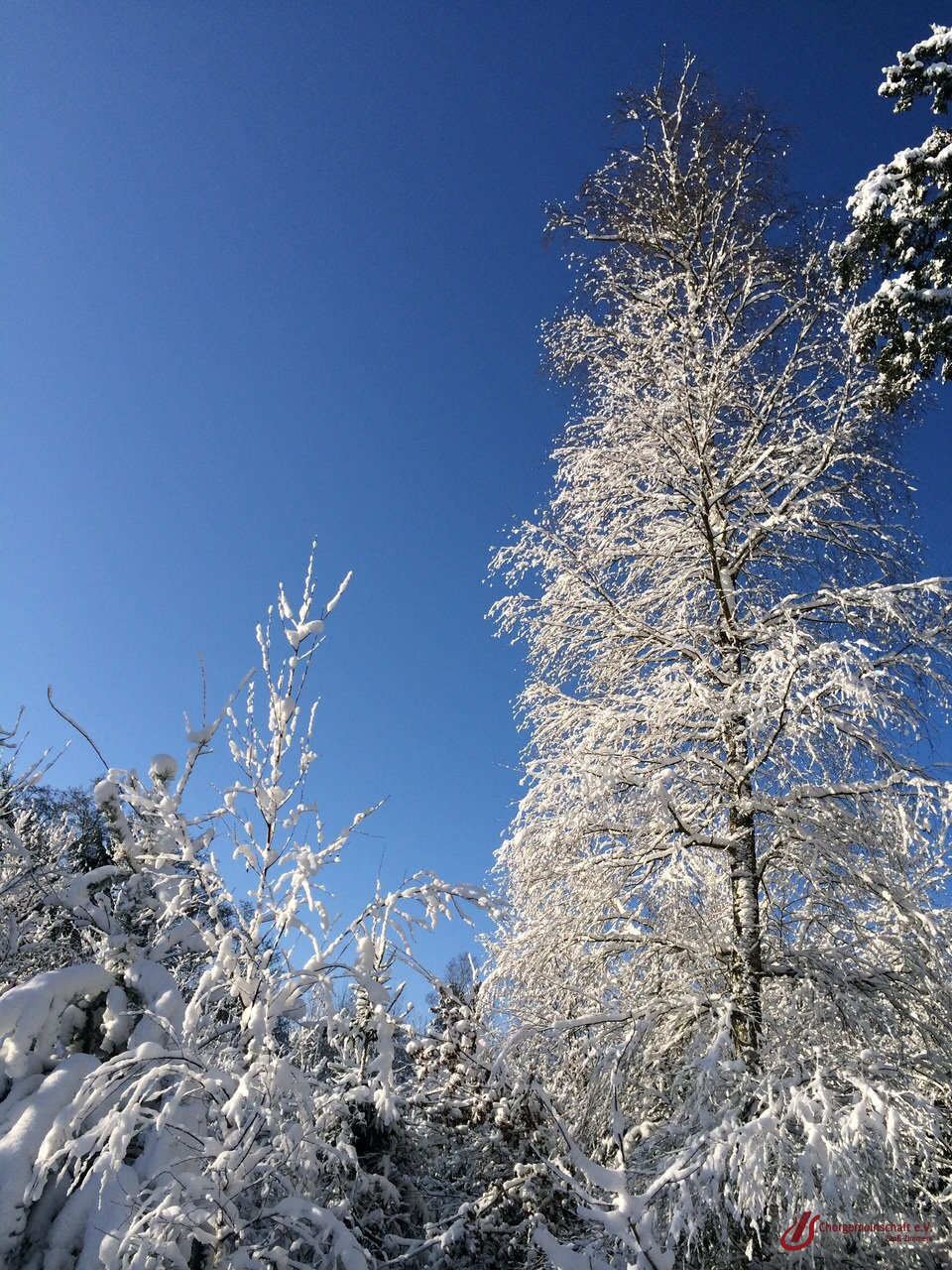 Wanderung zwischen den Jahren