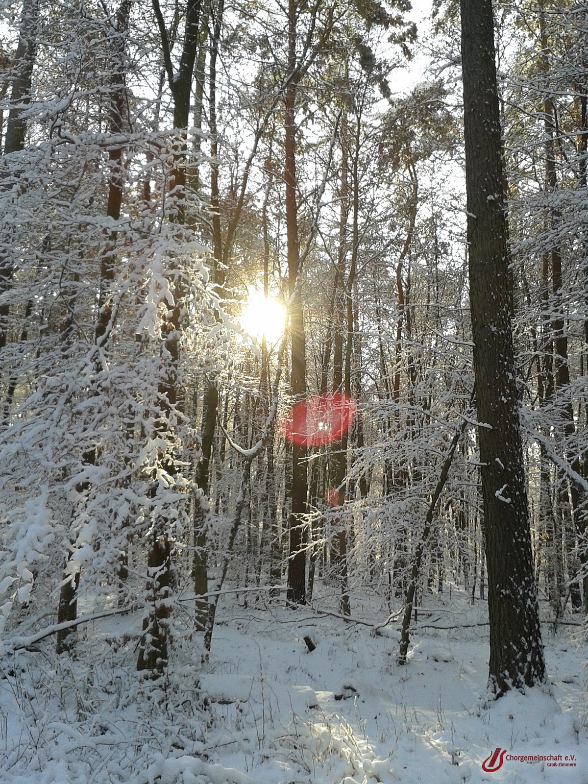 Wanderung zwischen den Jahren
