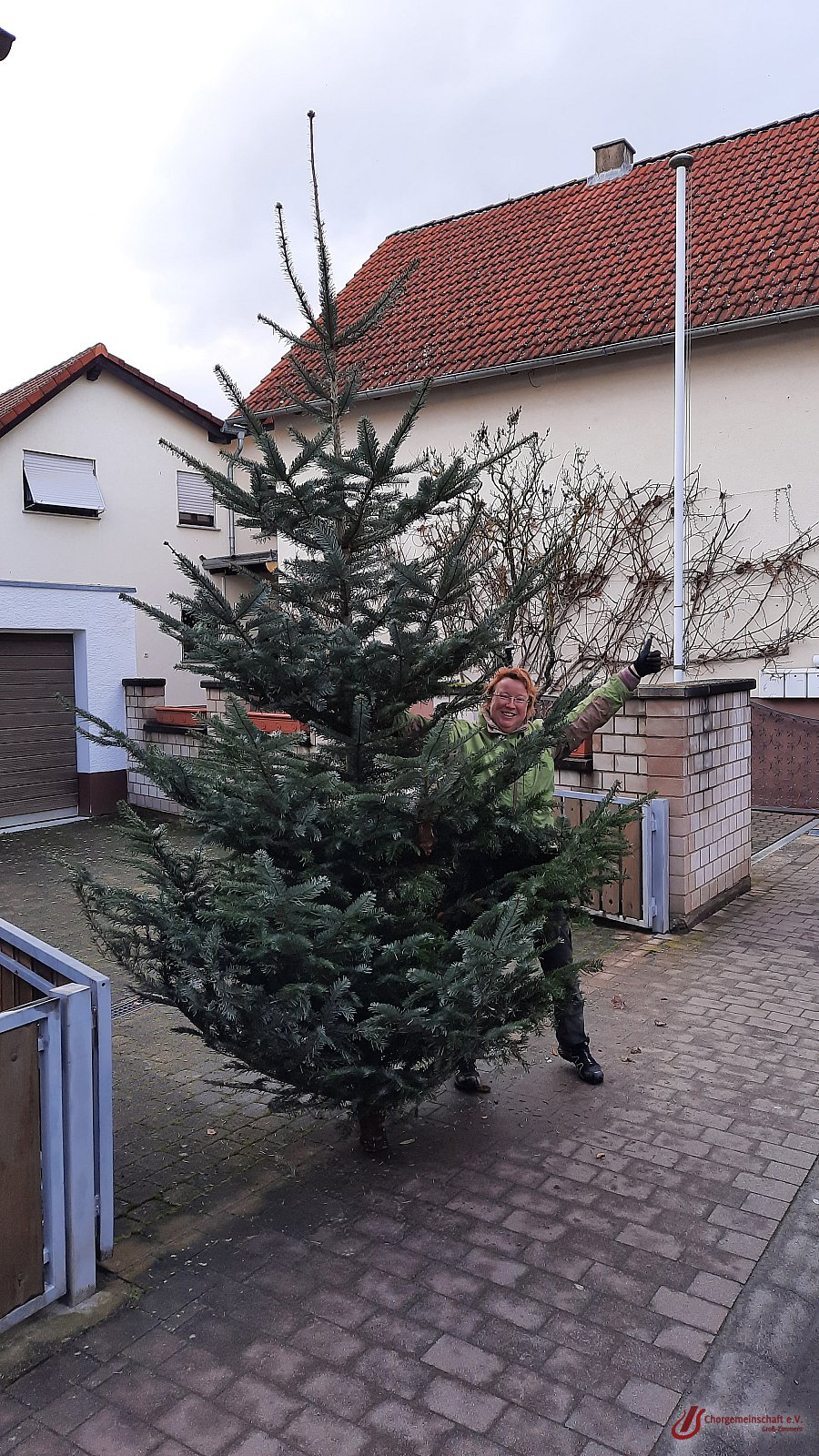 Weihnachtsbaumsammelaktion