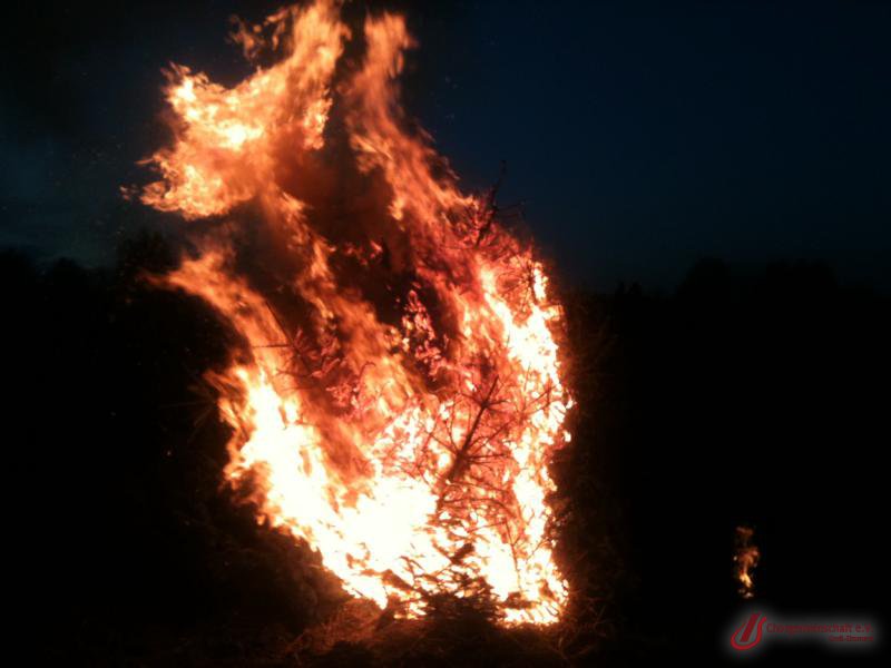 Weihnachtsbaumverbrennung