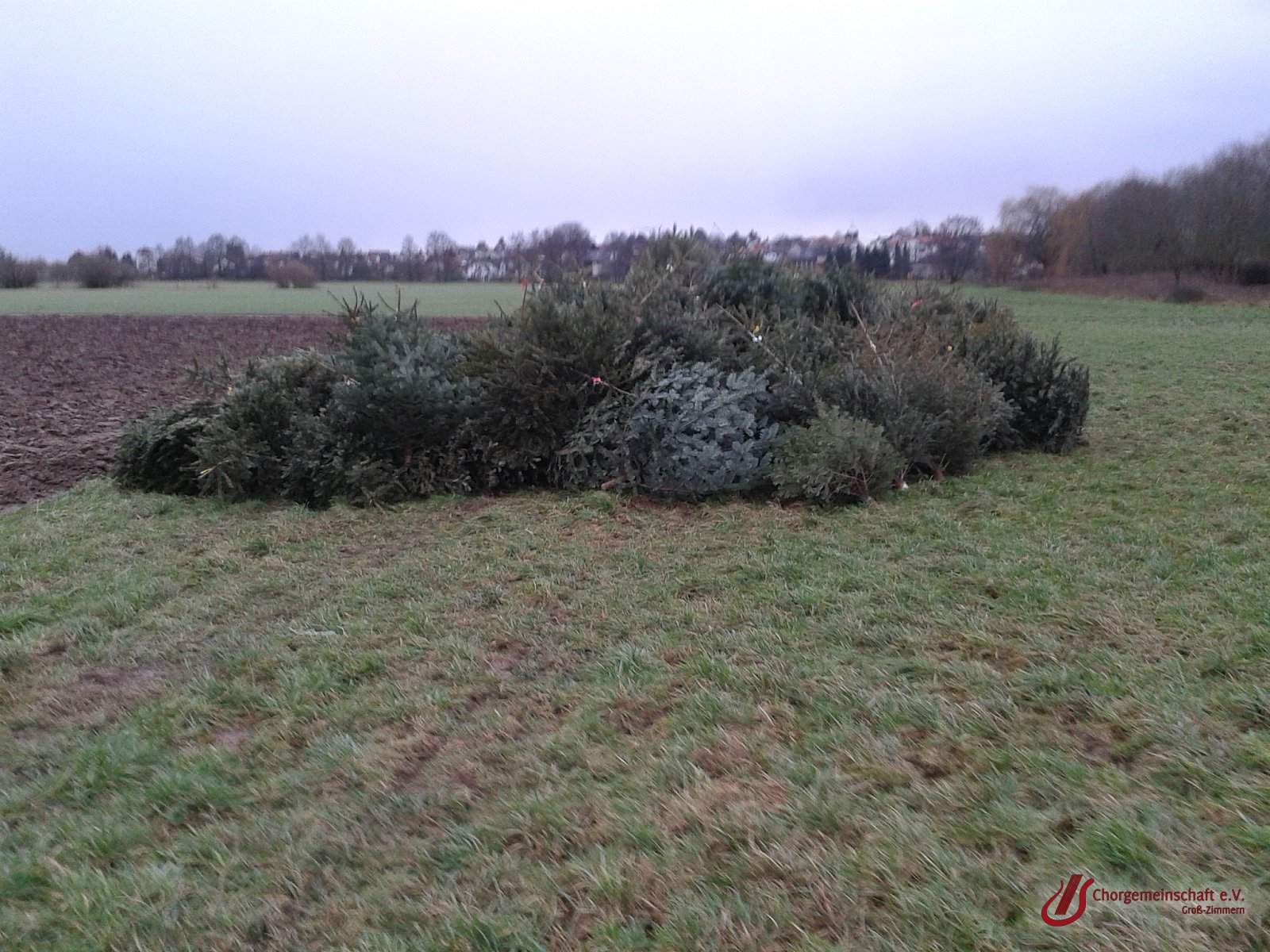 Weihnachtsbaumverbrennung