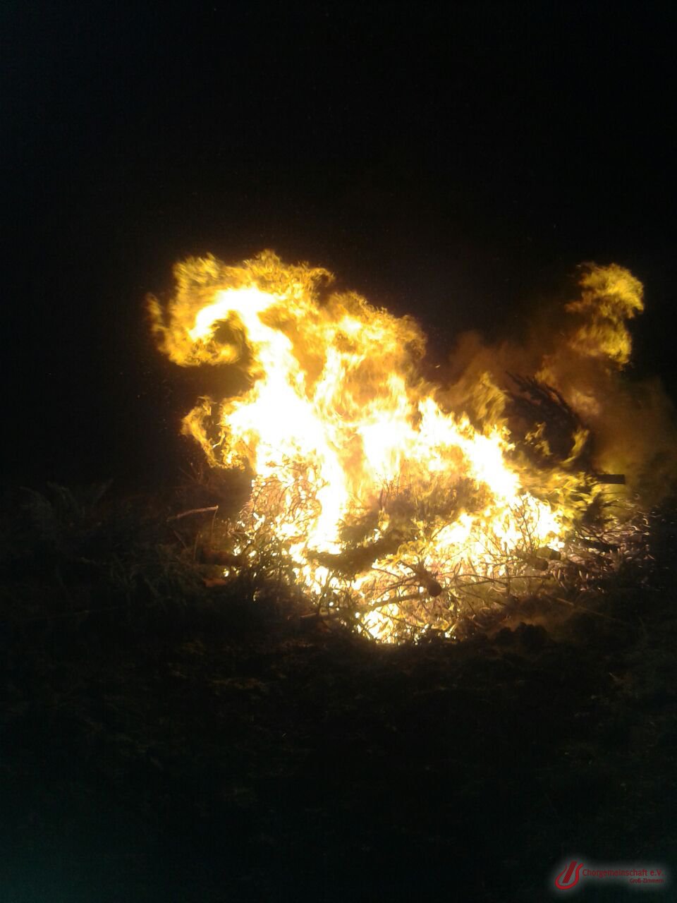 Weihnachtsbaumverbrennung