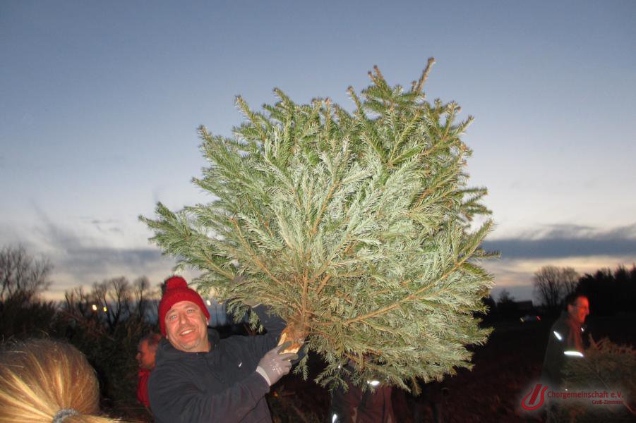 Weihnachtsbaumverbrennung