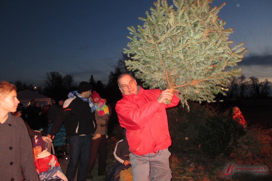 Weihnachtsbaumverbrennung