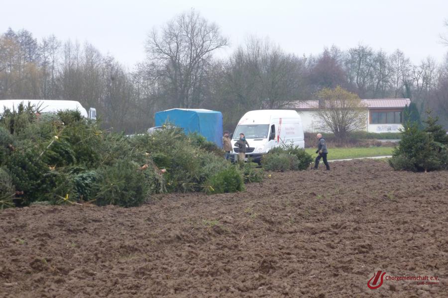 Weihnachtsbaumverbrennung