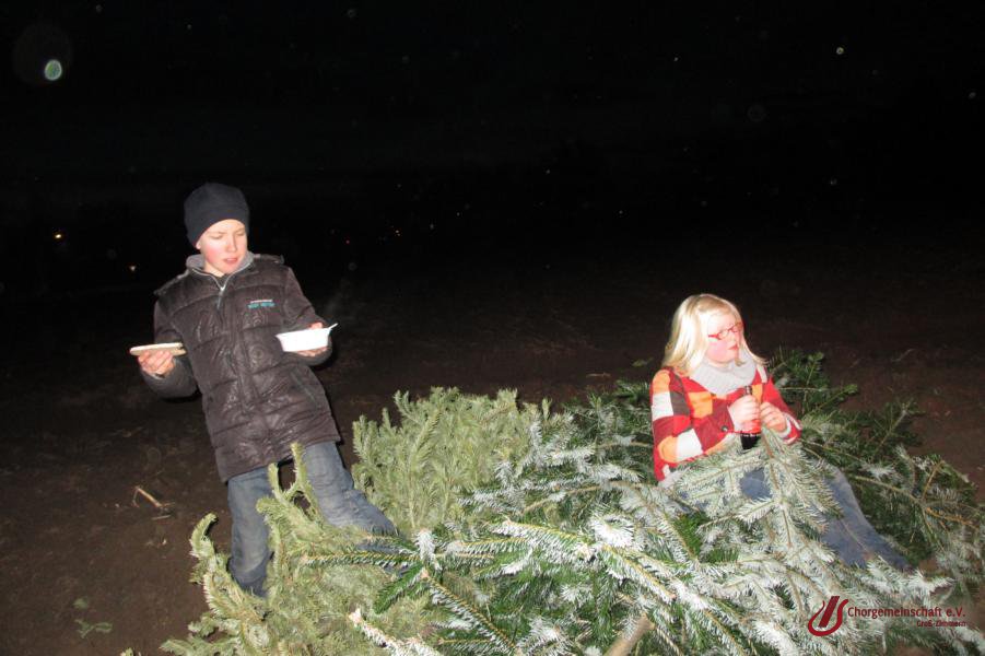 Weihnachtsbaumverbrennung