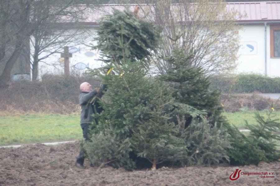 Weihnachtsbaumverbrennung