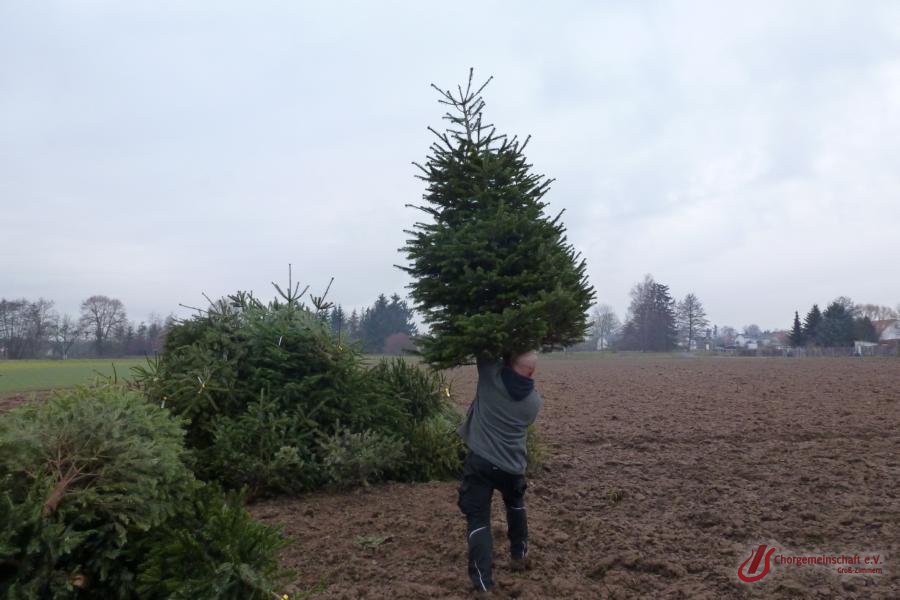 Weihnachtsbaumverbrennung
