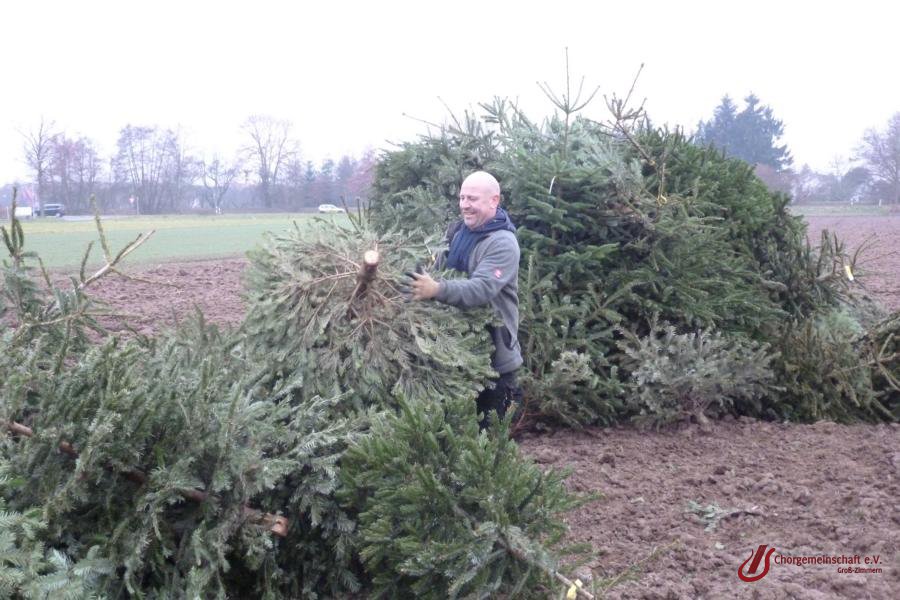 Weihnachtsbaumverbrennung