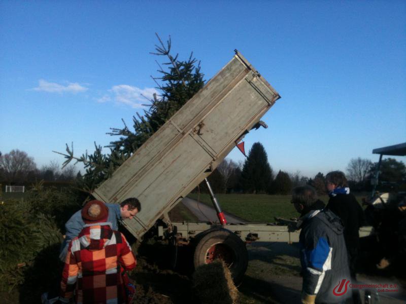 Weihnachtsbaumverbrennung