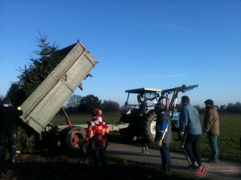 Weihnachtsbaumverbrennung