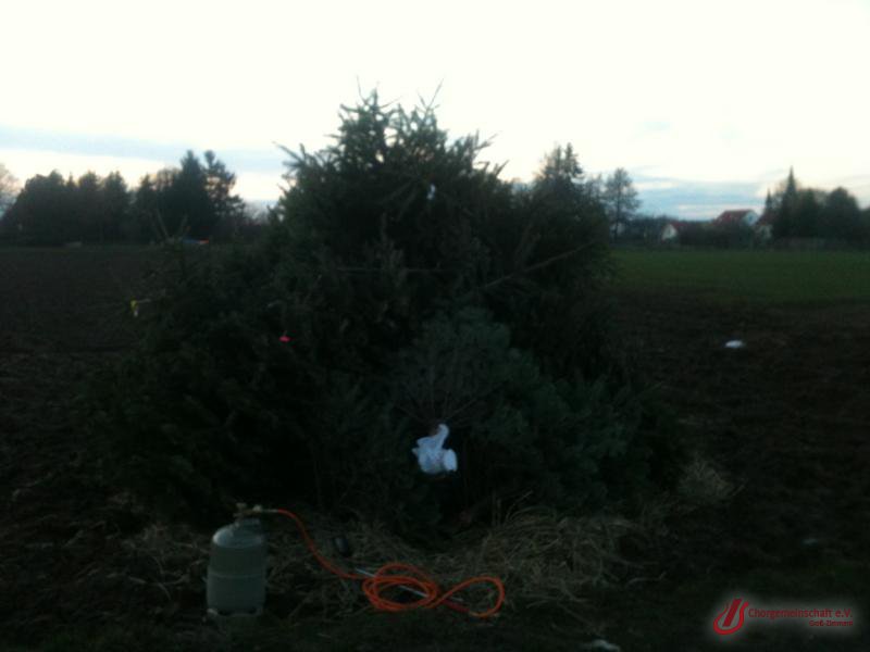 Weihnachtsbaumverbrennung
