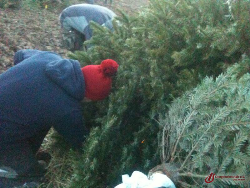 Weihnachtsbaumverbrennung